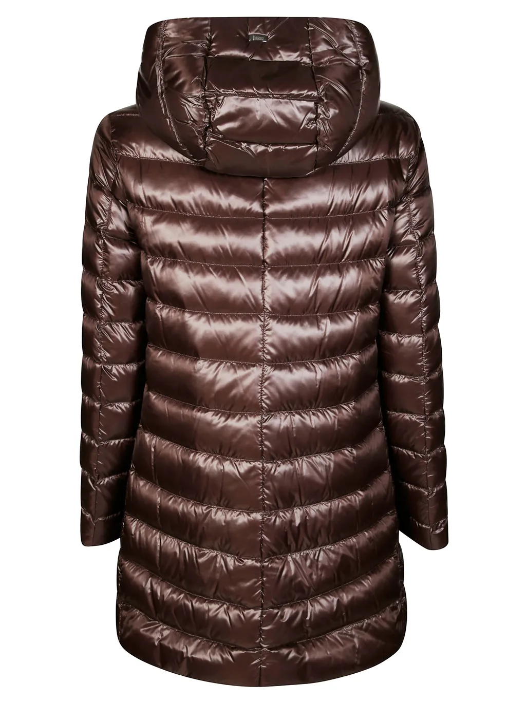 Hooded Down Jacket