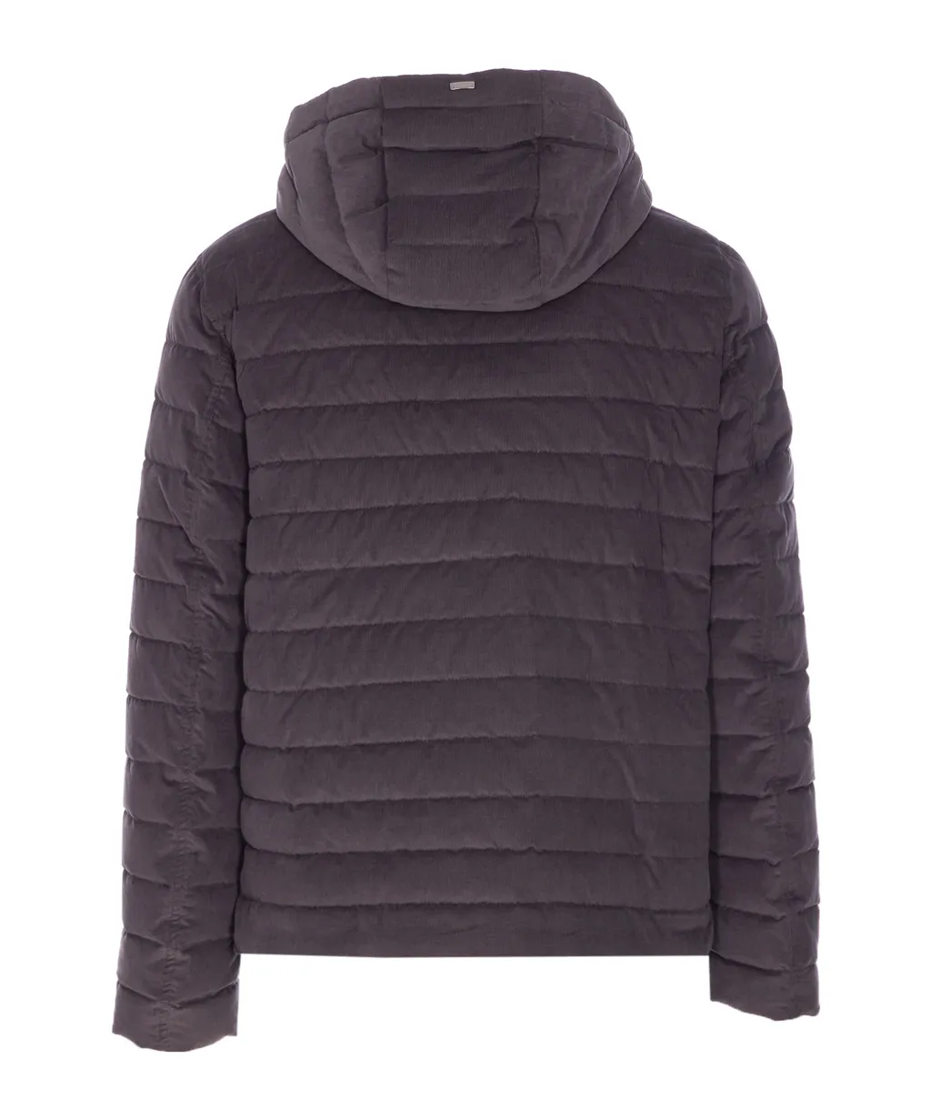 Quilted Hooded Jacket