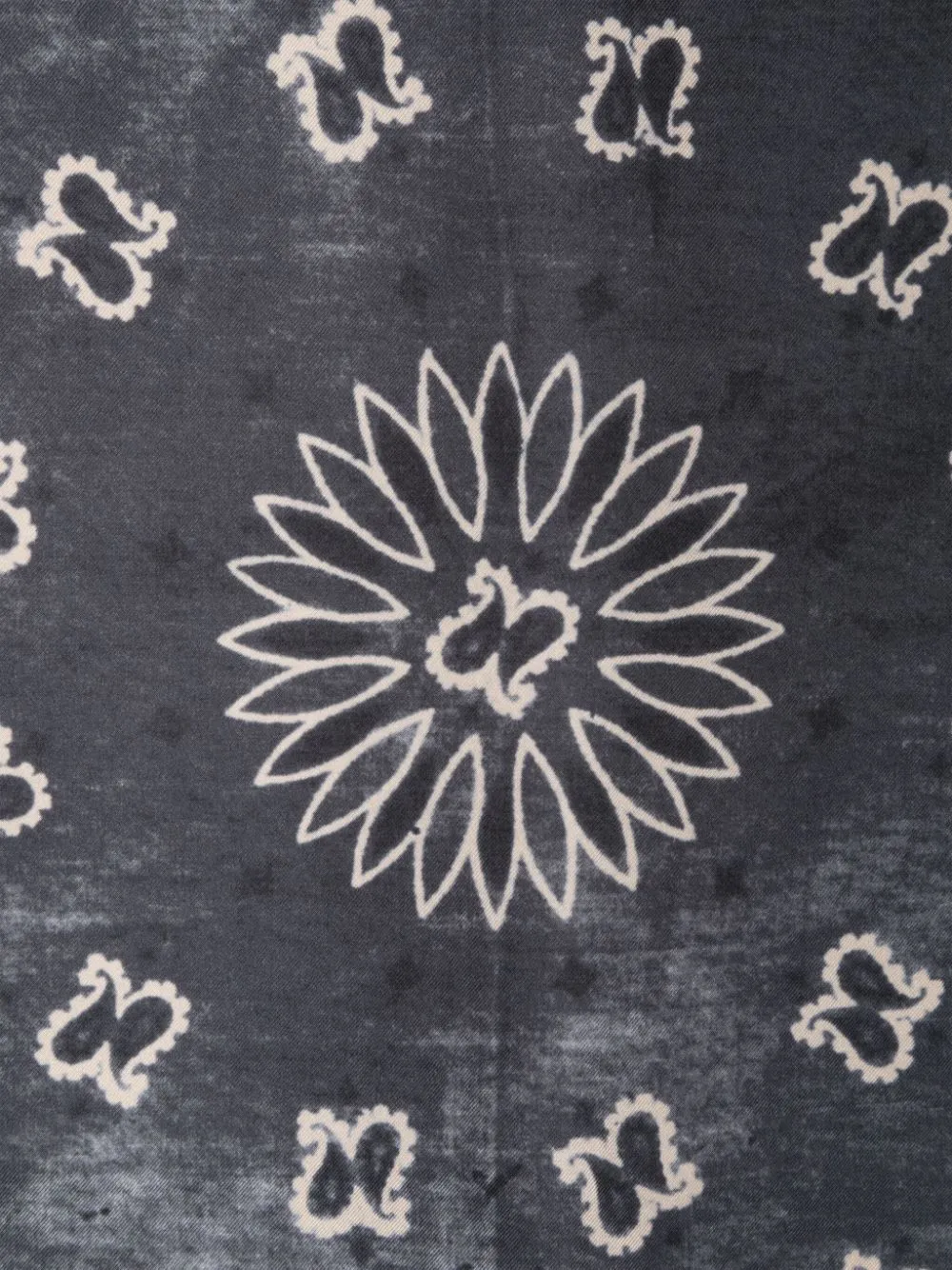 Paisley Printed Scarf