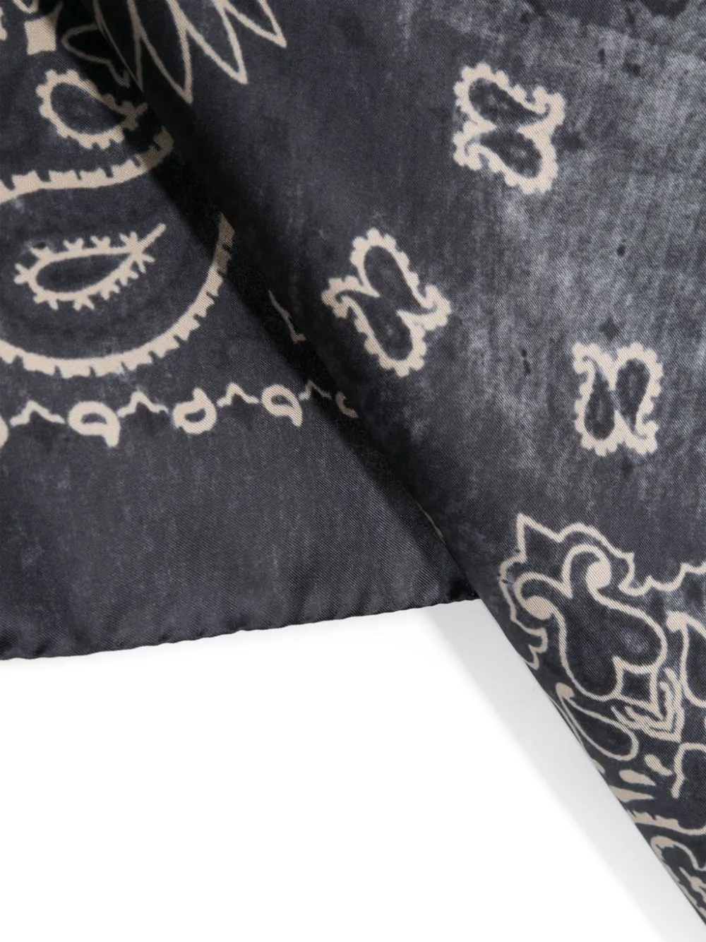 Paisley Printed Scarf