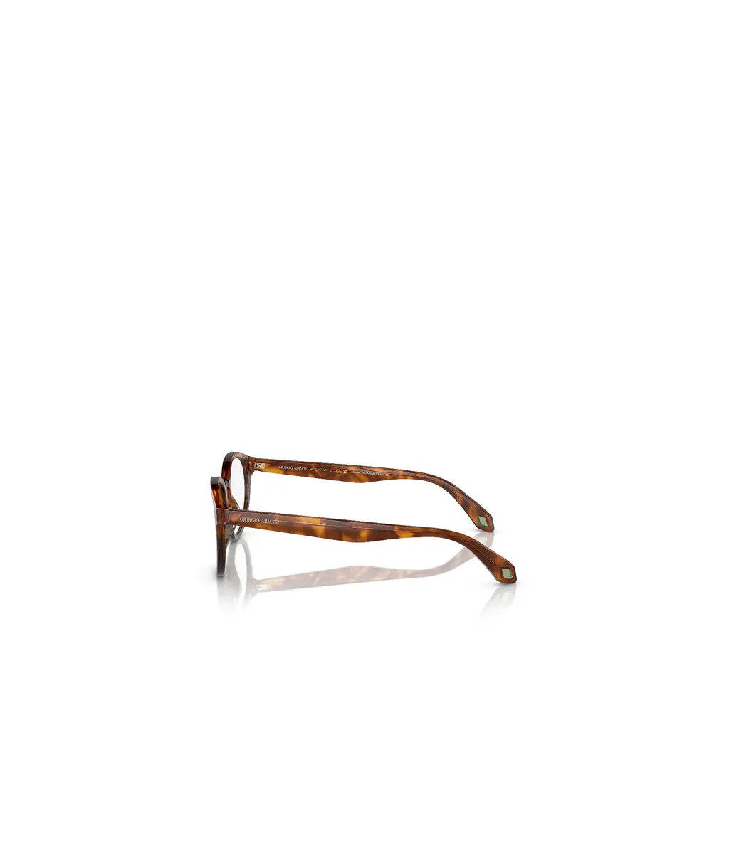 Round Frame Glasses