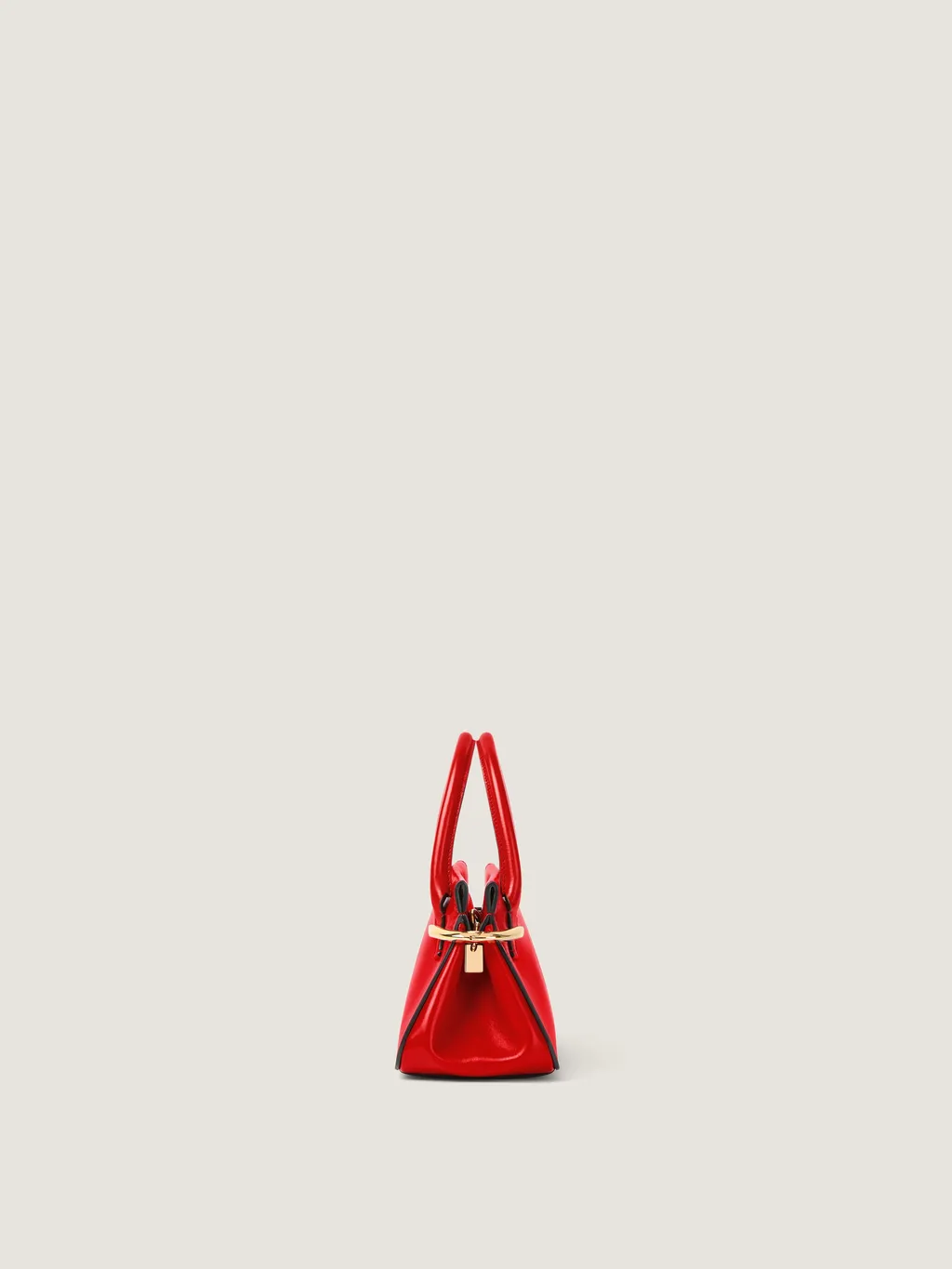 Pich Mini Tote Bag