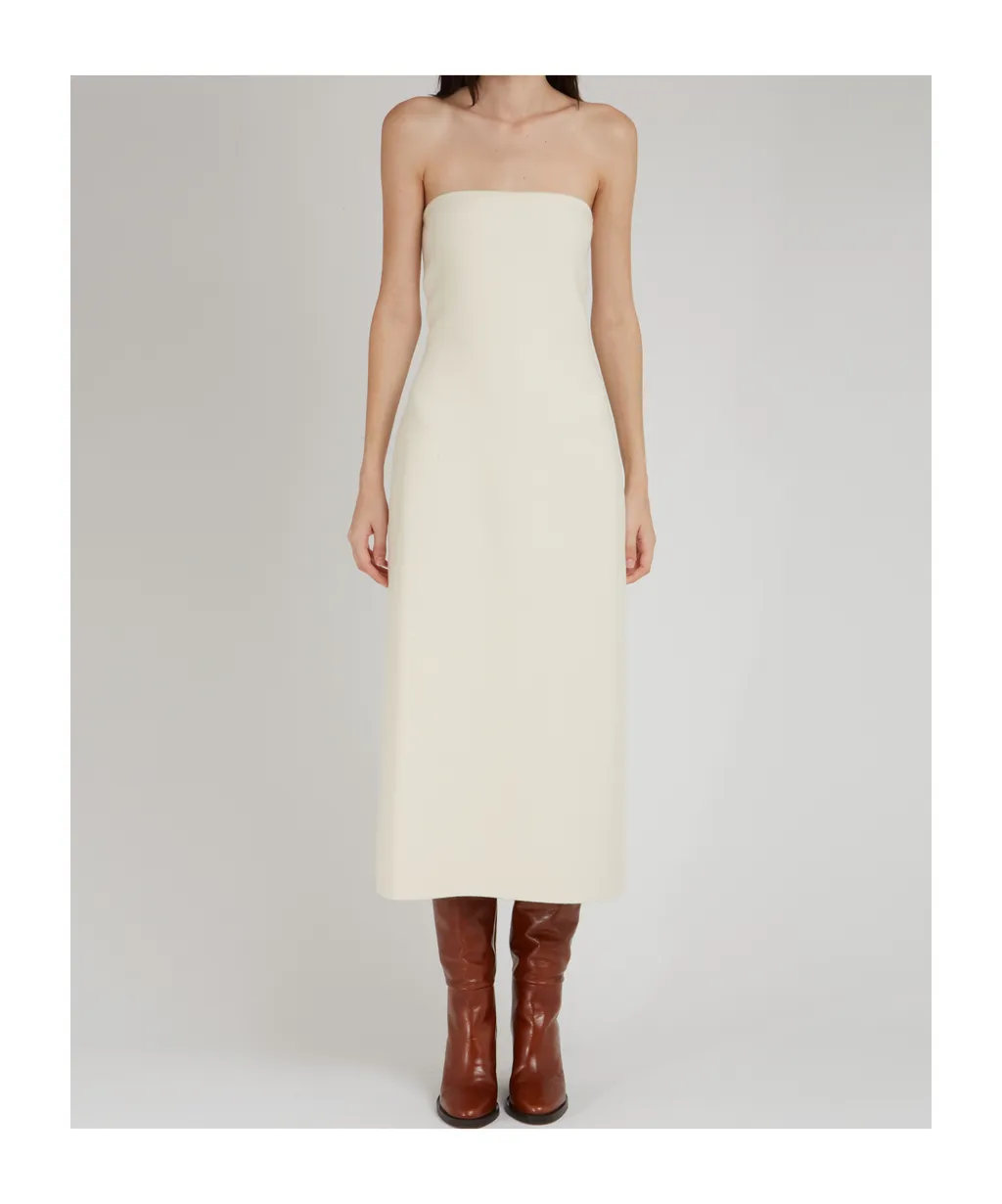 Tube Top Dress