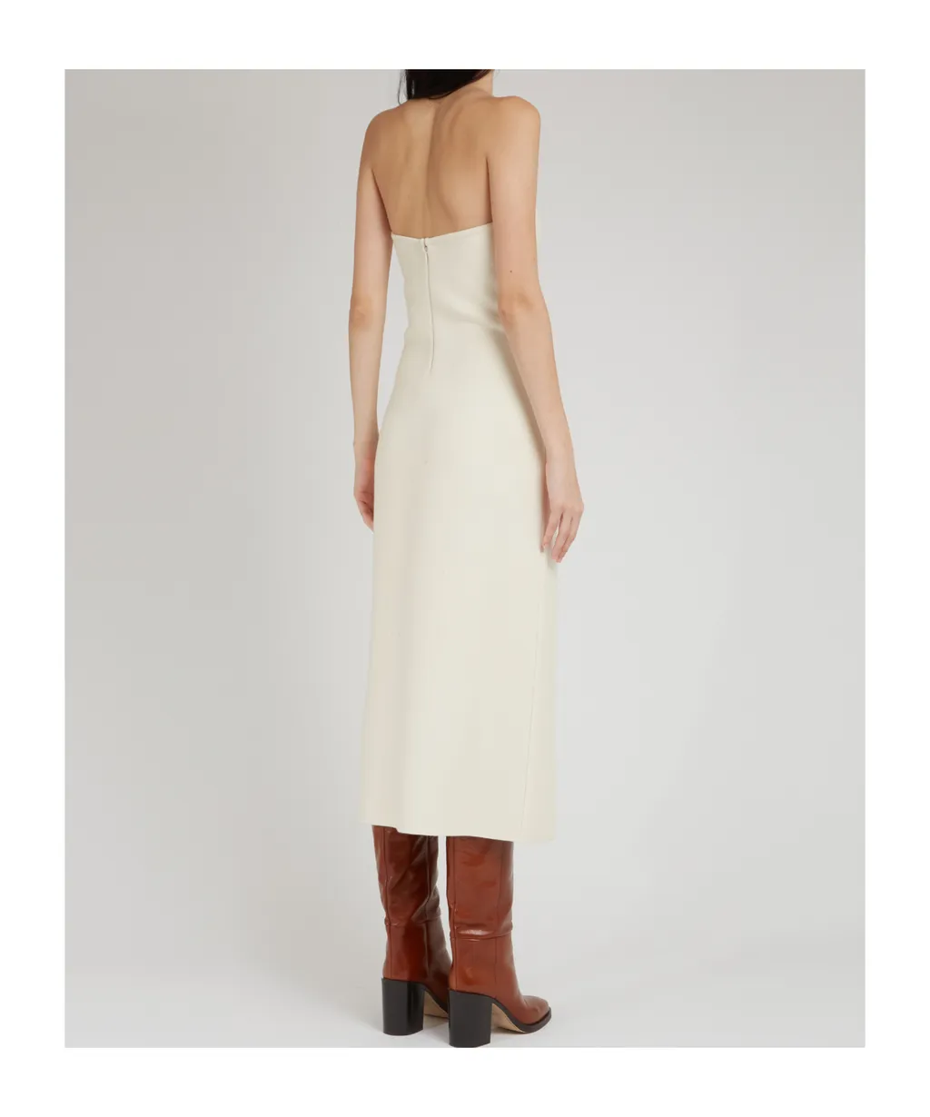 Tube Top Dress