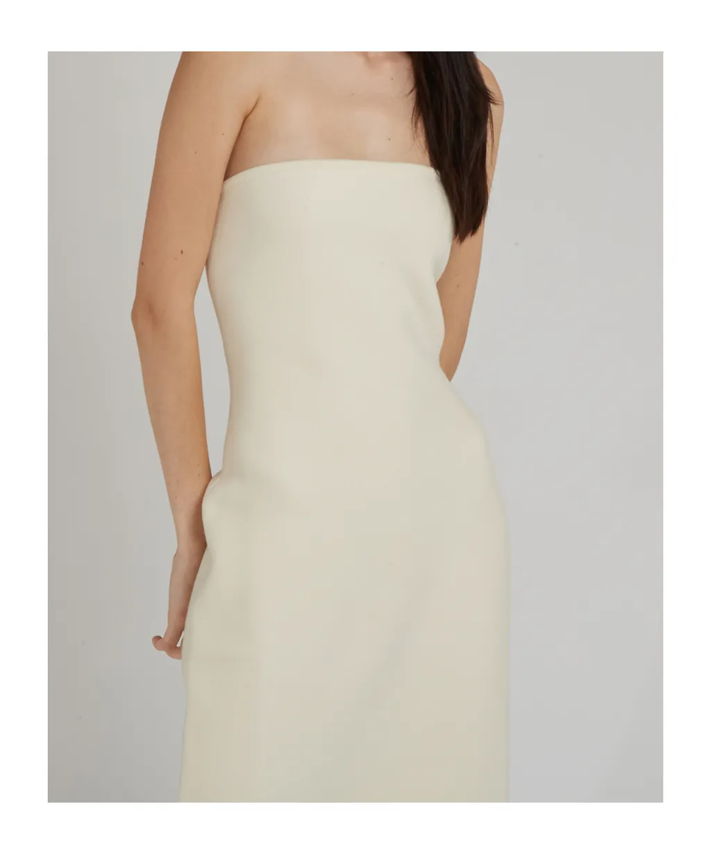 Tube Top Dress