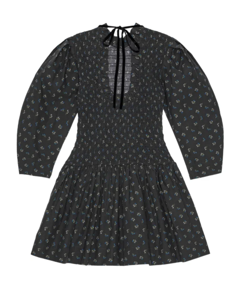 Floral Printed Ruffled Mini Dress