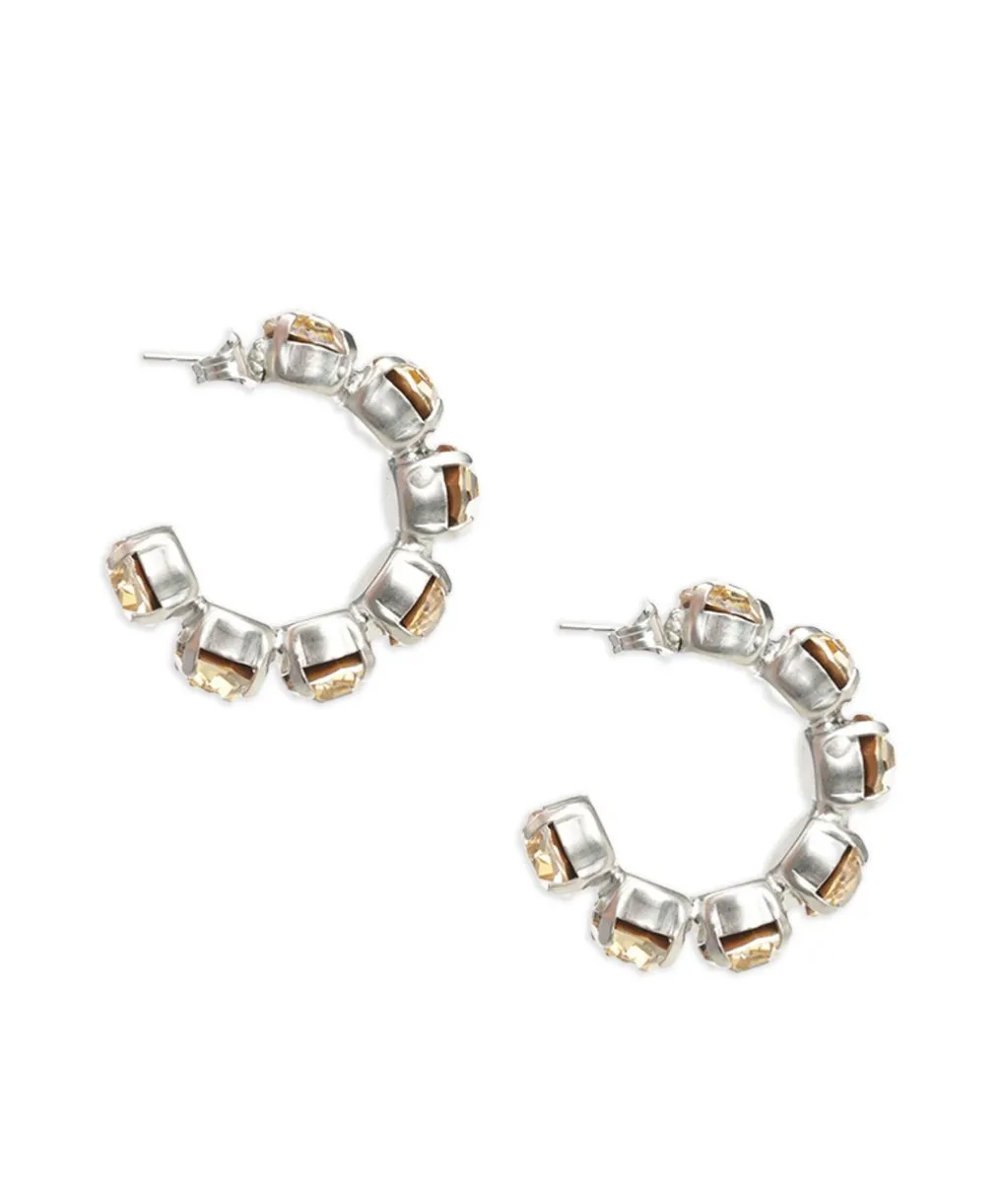 Semicircular Earrings