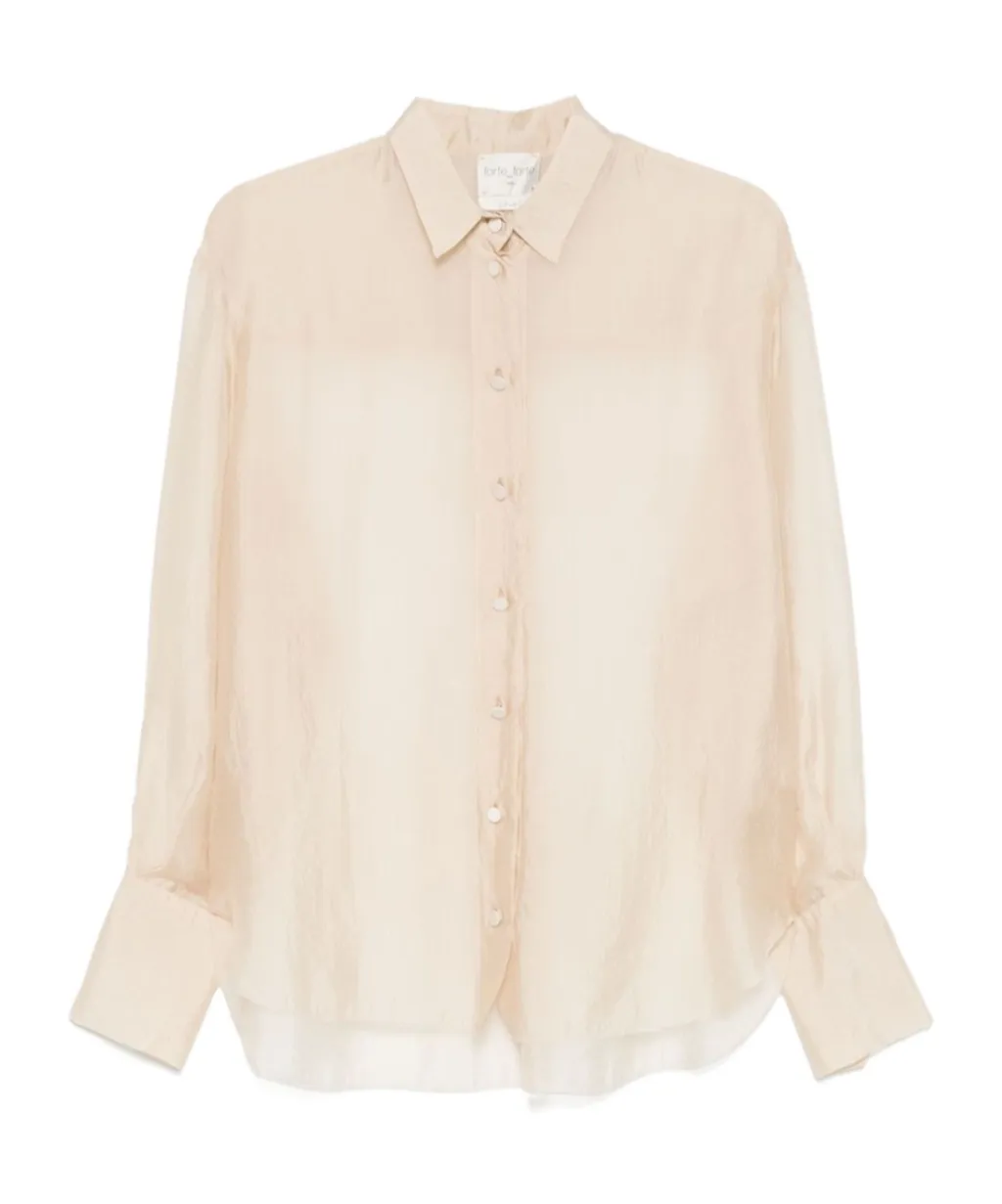 Sheer Shirt
