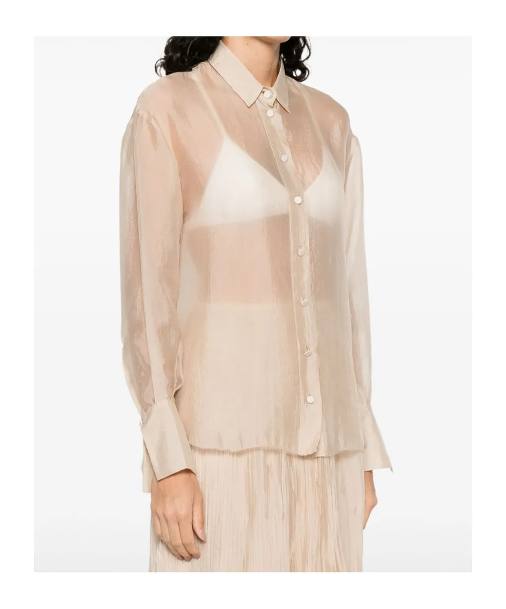 Sheer Shirt