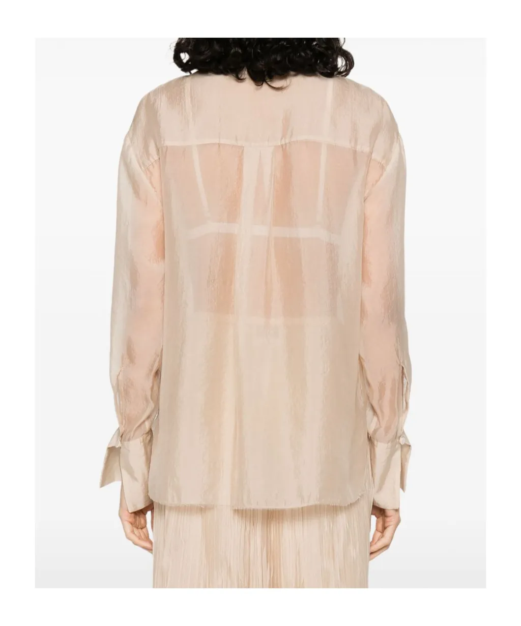 Sheer Shirt