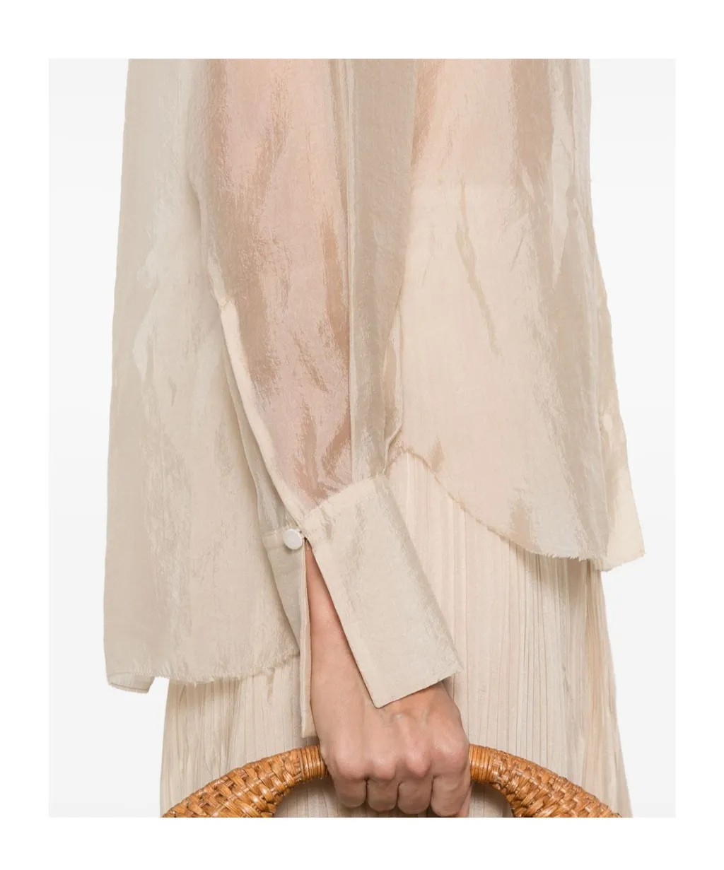Sheer Shirt