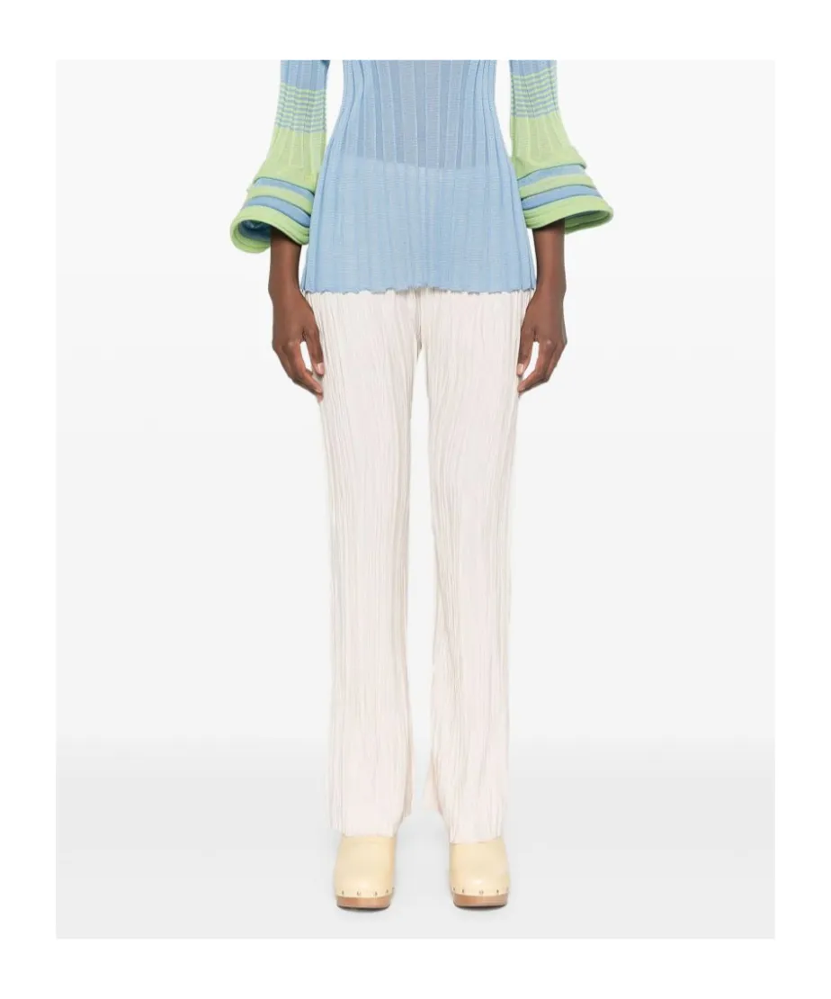 Pleated Trousers