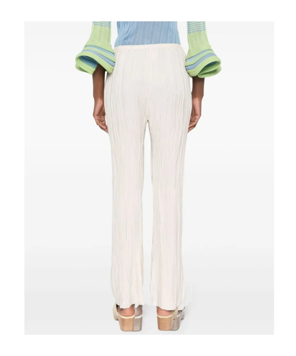 Pleated Trousers