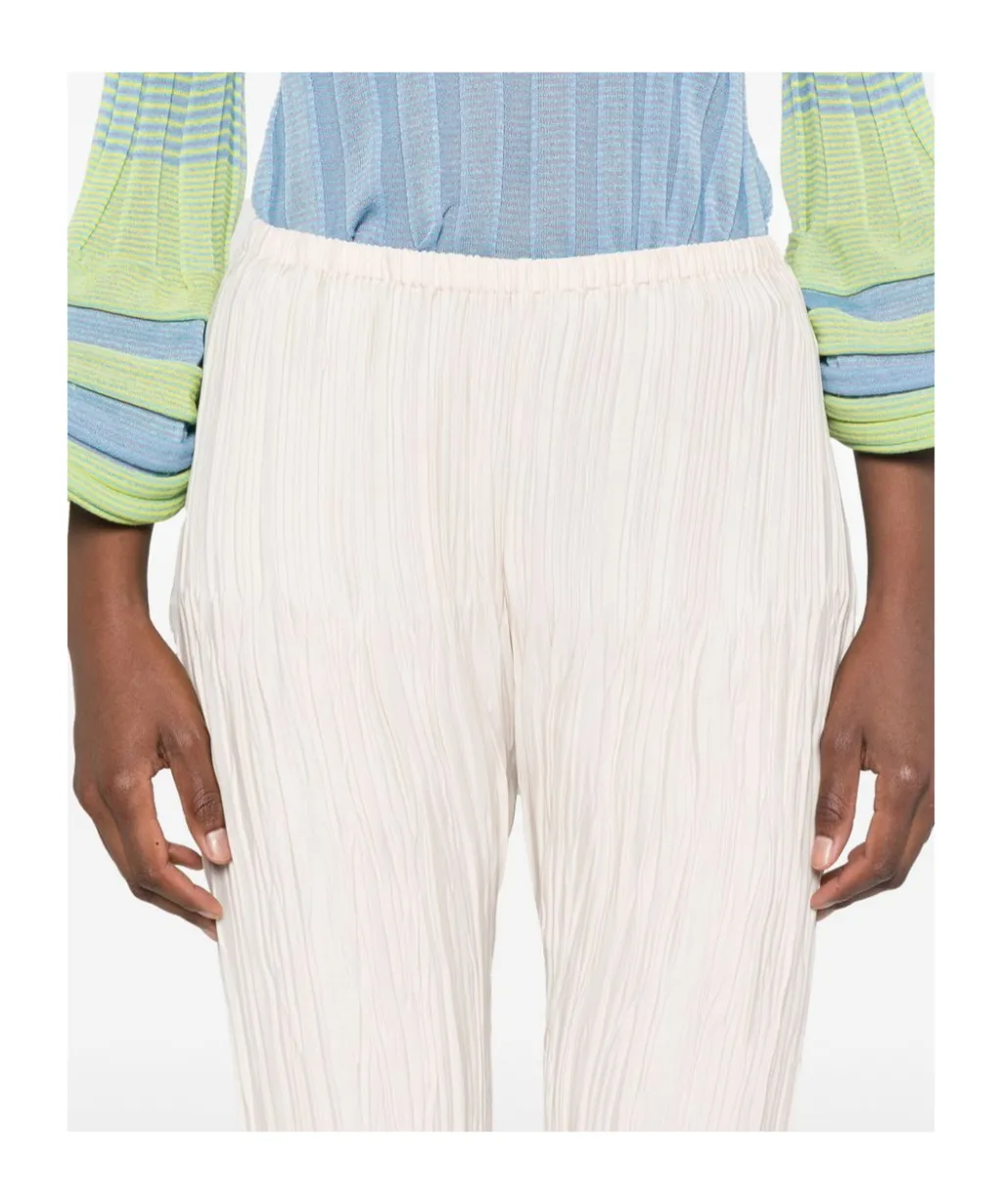 Pleated Trousers