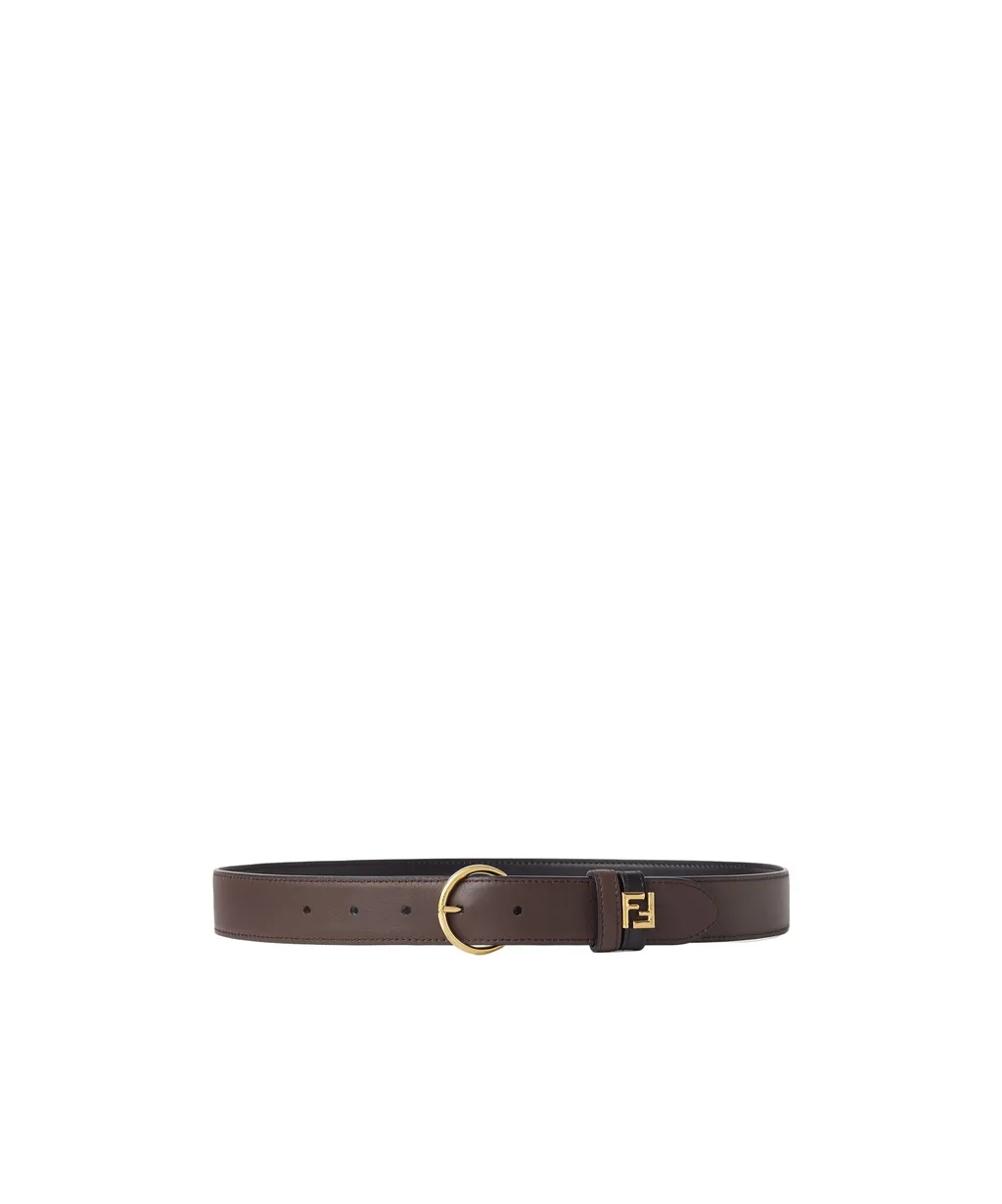 Reversible Belt