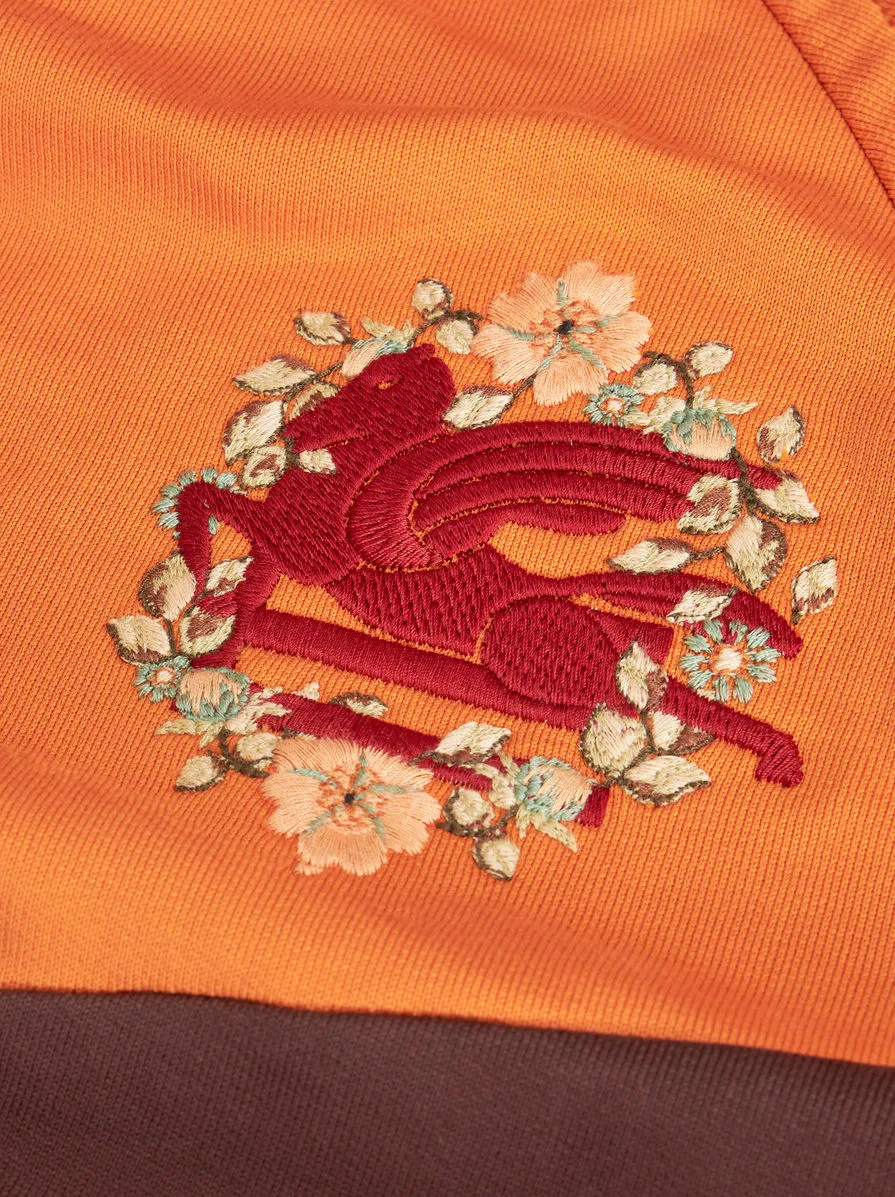 Pegaso-Embroidered Two-Toned Drawstring Hoodie