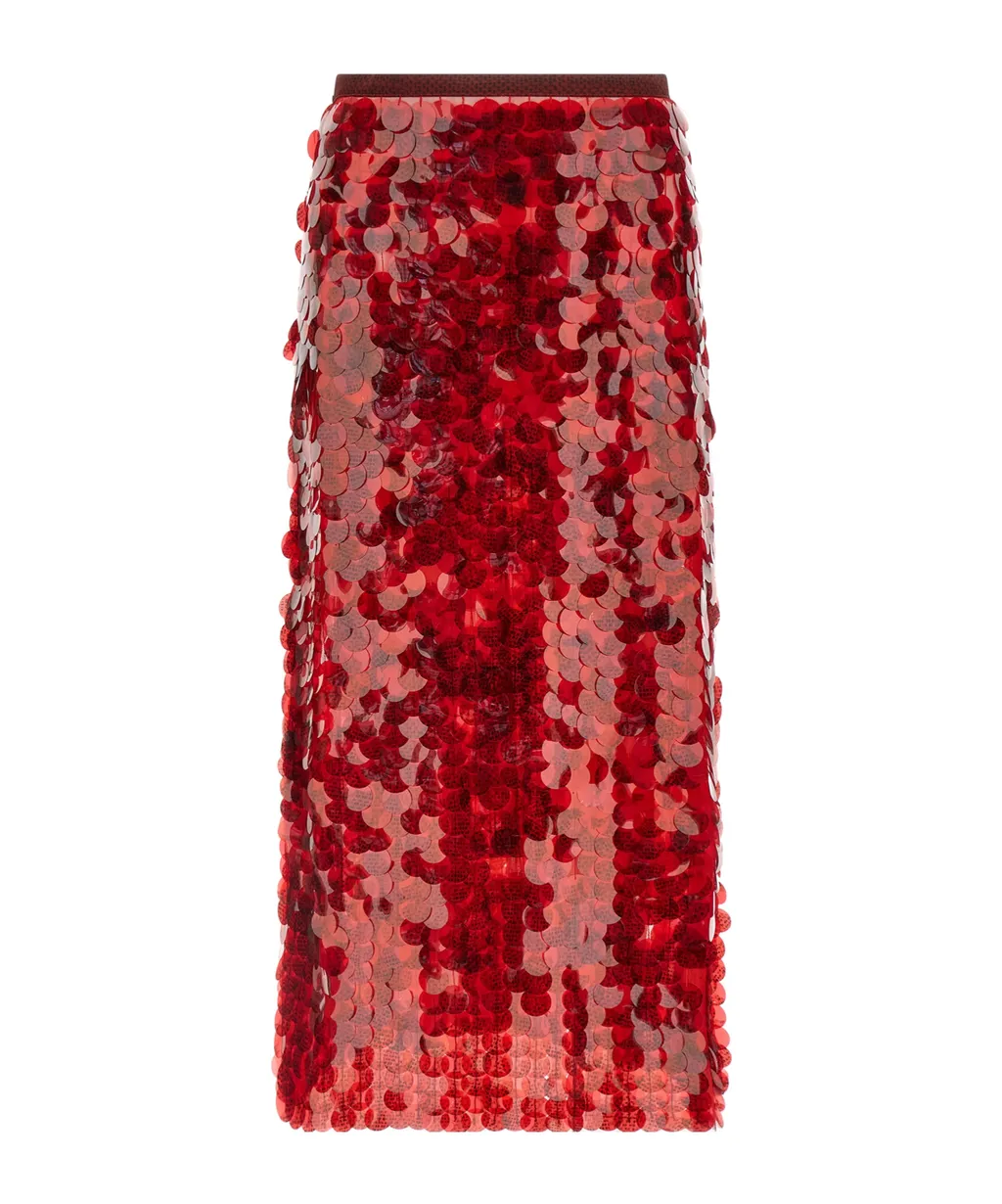 Sequin Flared Skirt