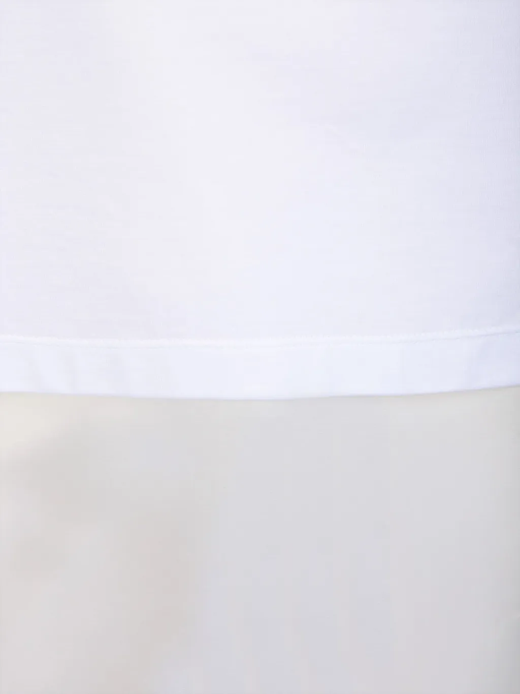 Semi-Sheer Panelled Crewneck Top