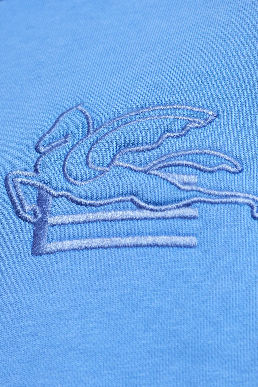 Pegaso Embroidered Drawstring Hoodie