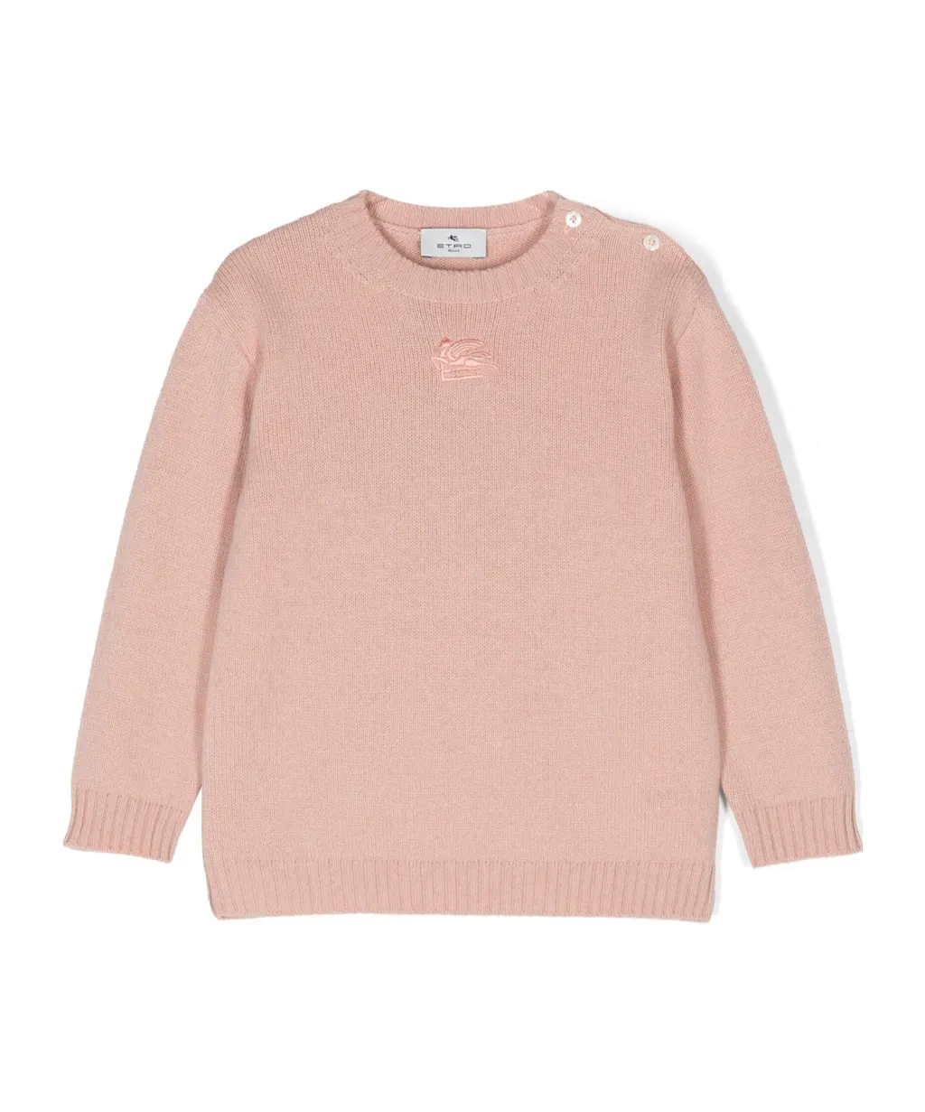 Pegaso Embroidery Sweater