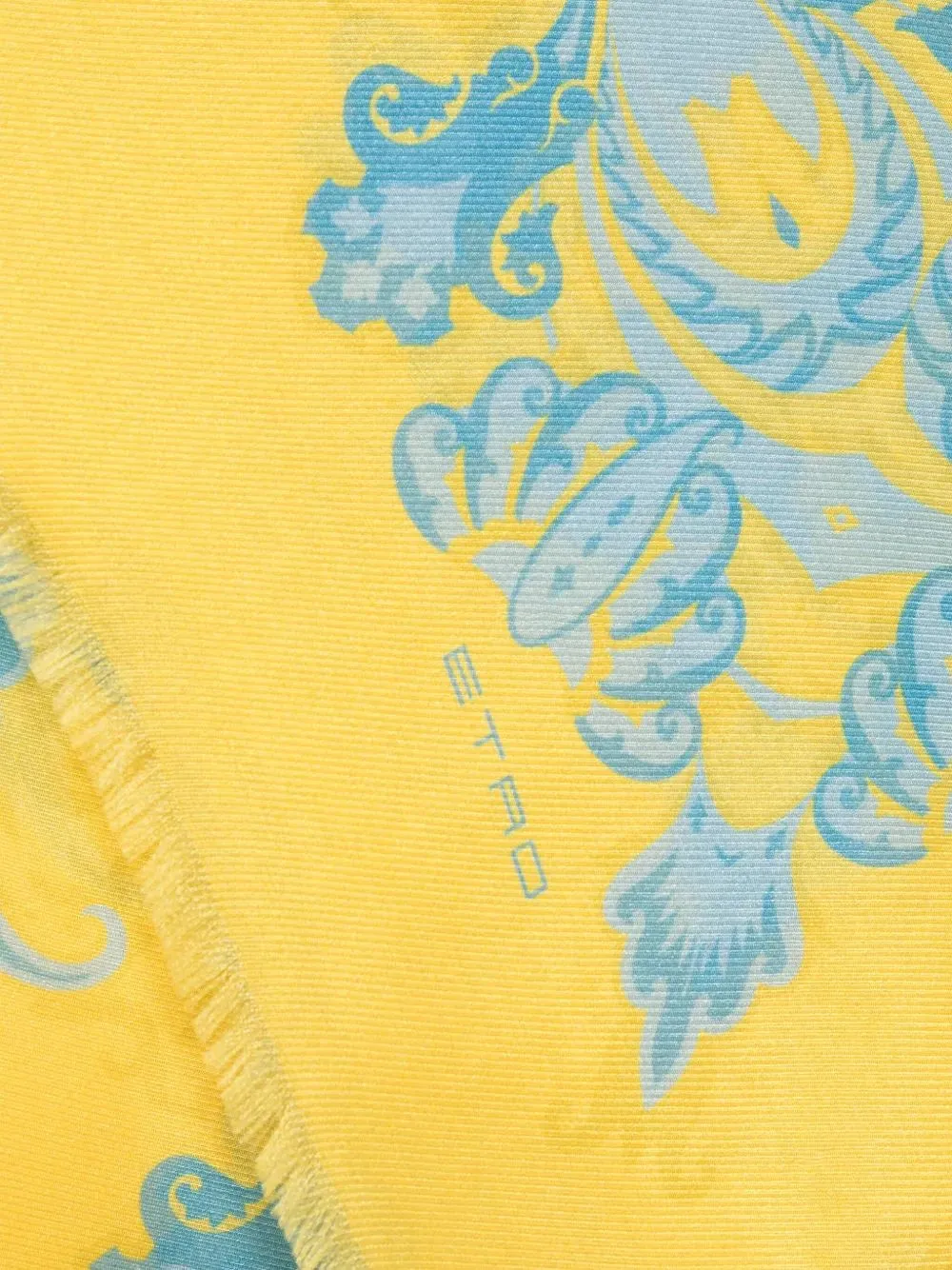 Stole With Paisley Print