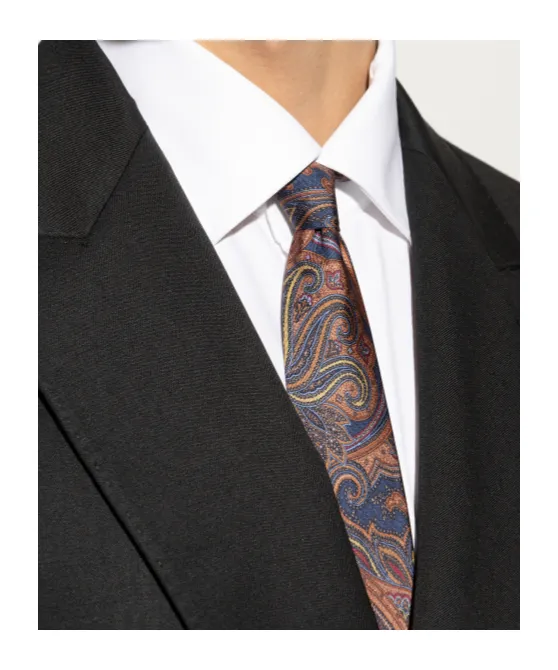 Paisley Printed Pointed-Tip Tie