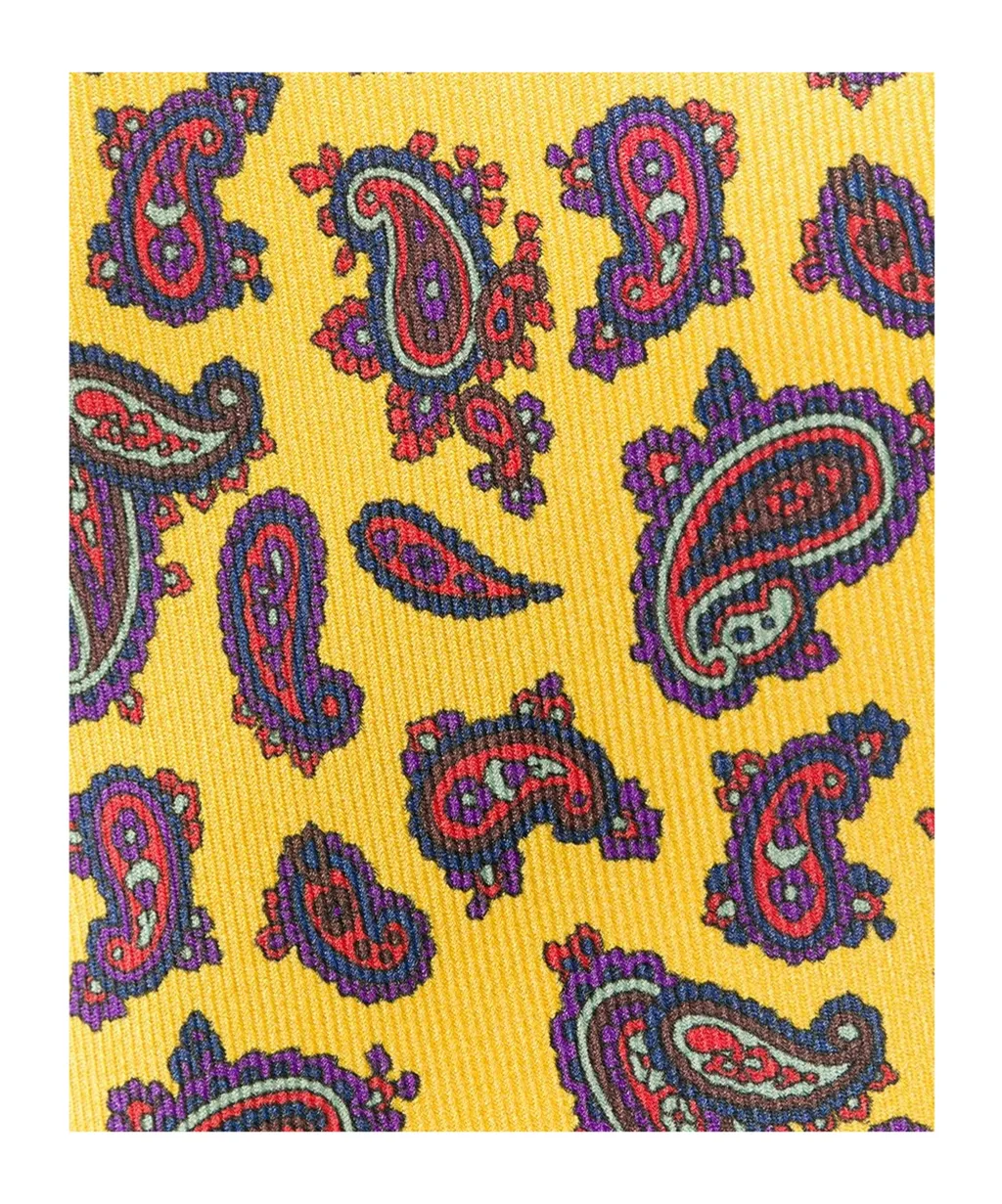 Paisley Tie