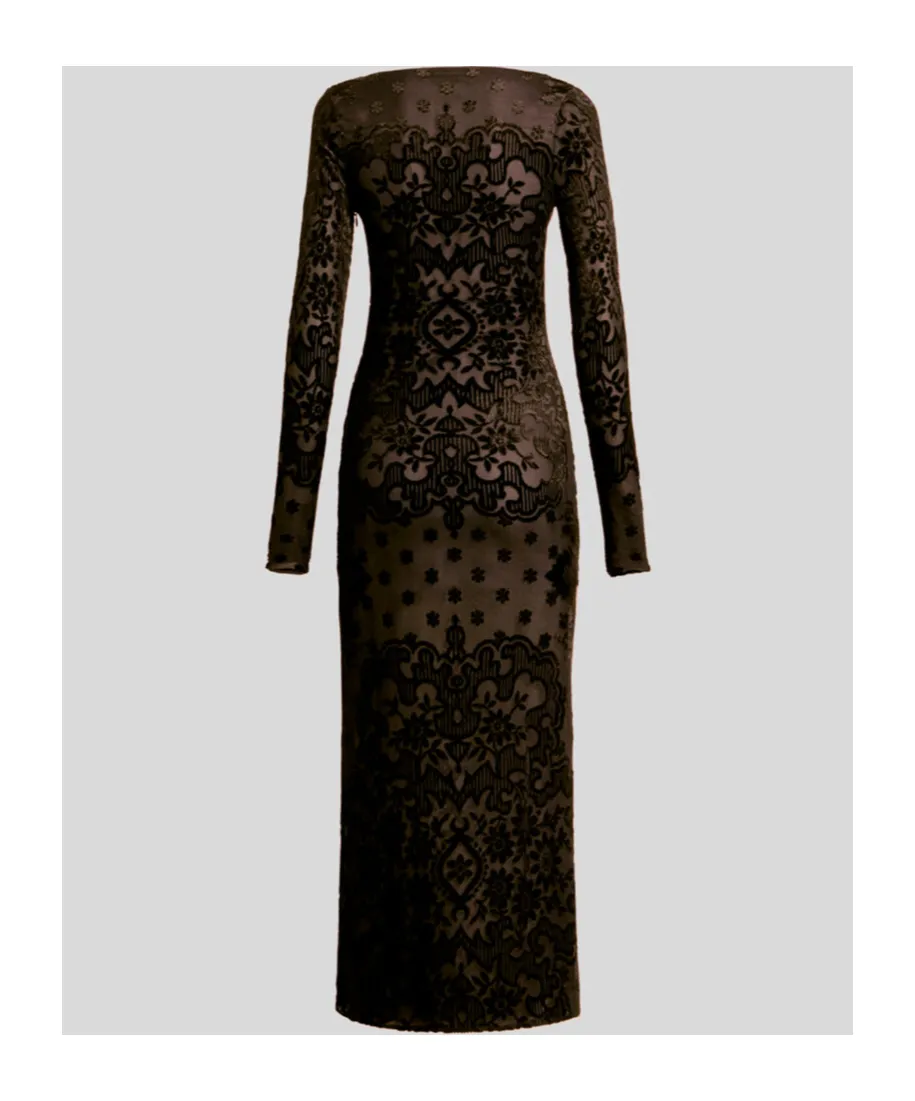 Tulle Jacquard Velvet Dress