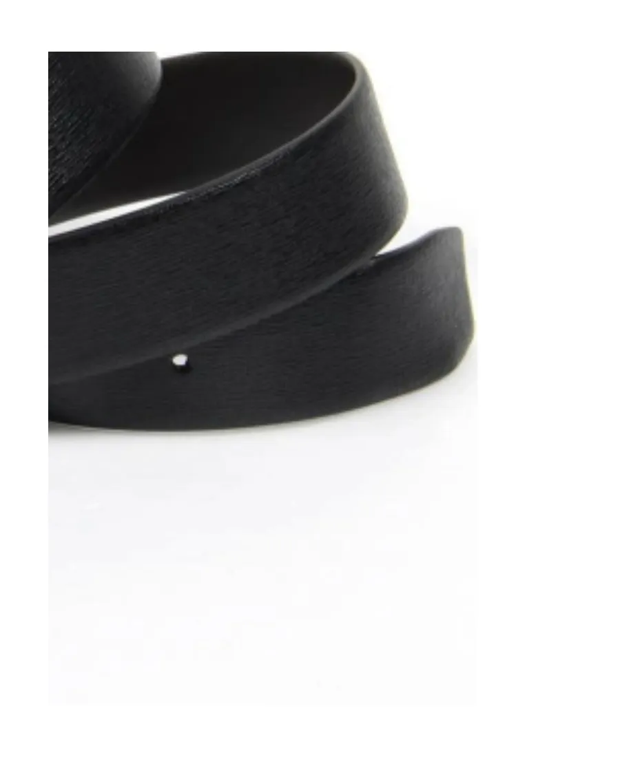 Logo Belt