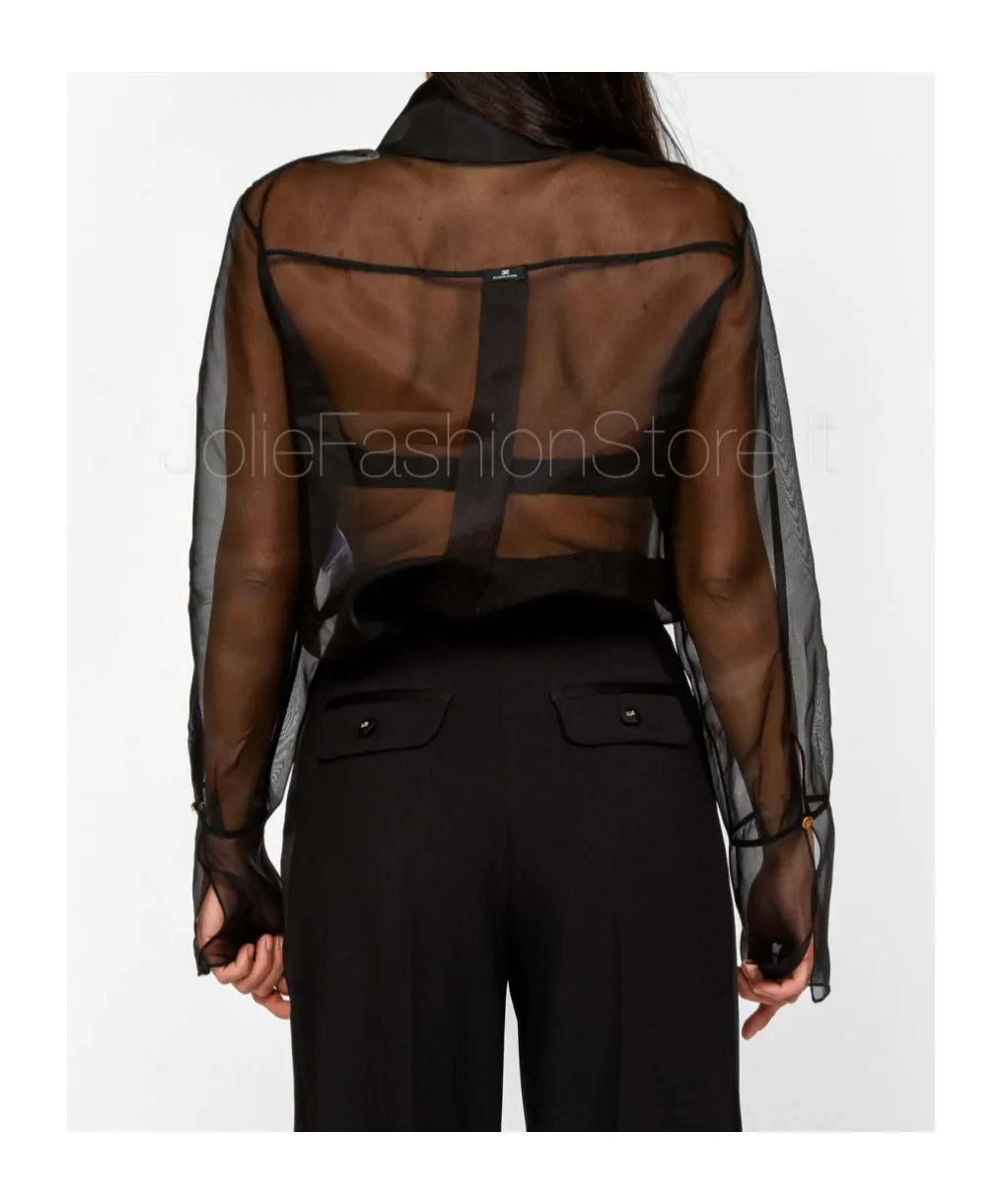 Sheer Blouse