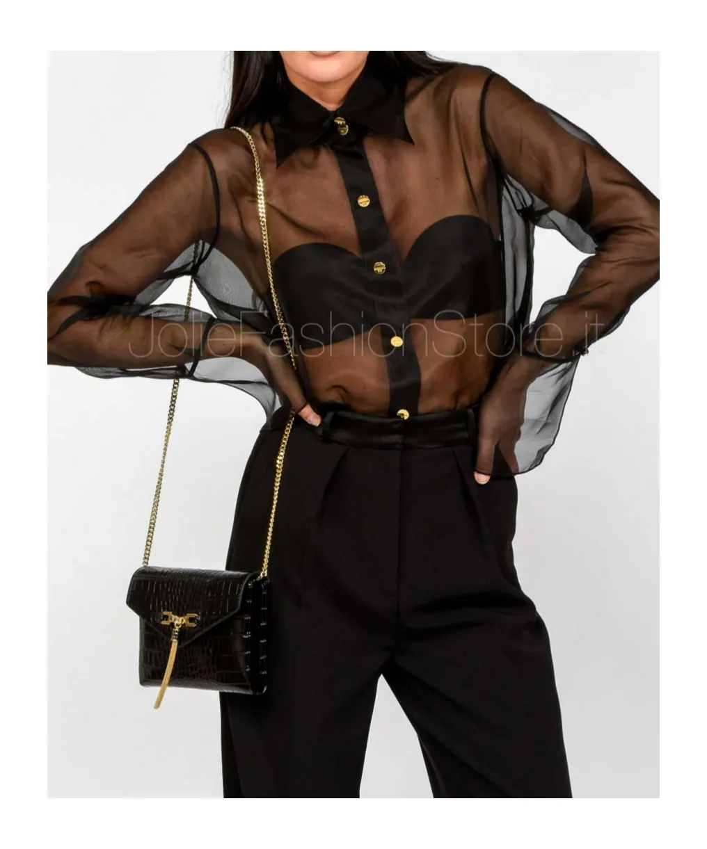 Sheer Blouse