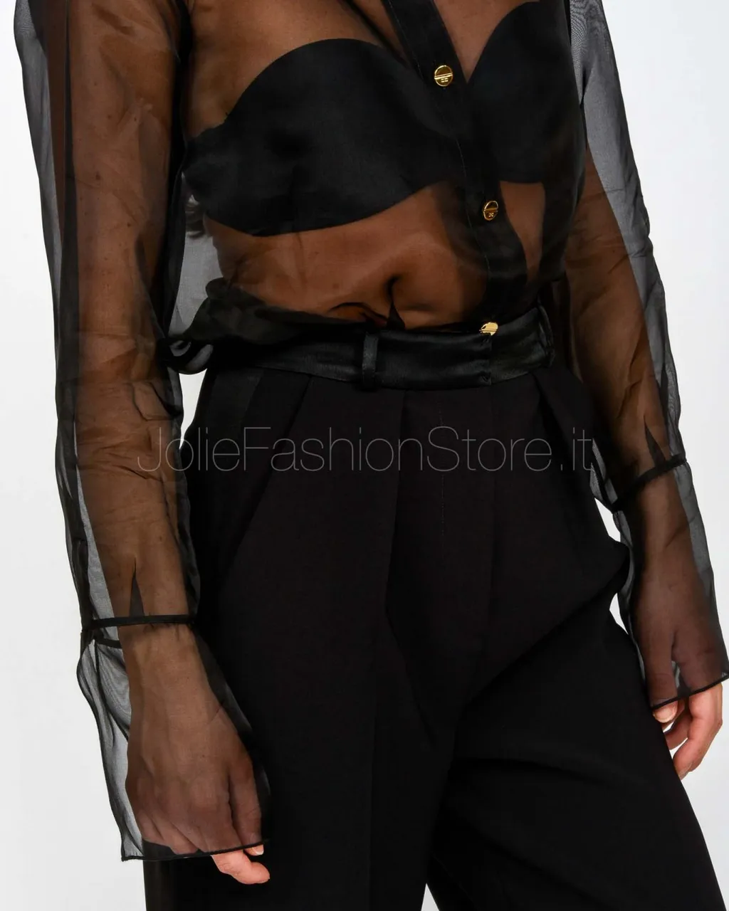 Sheer Blouse