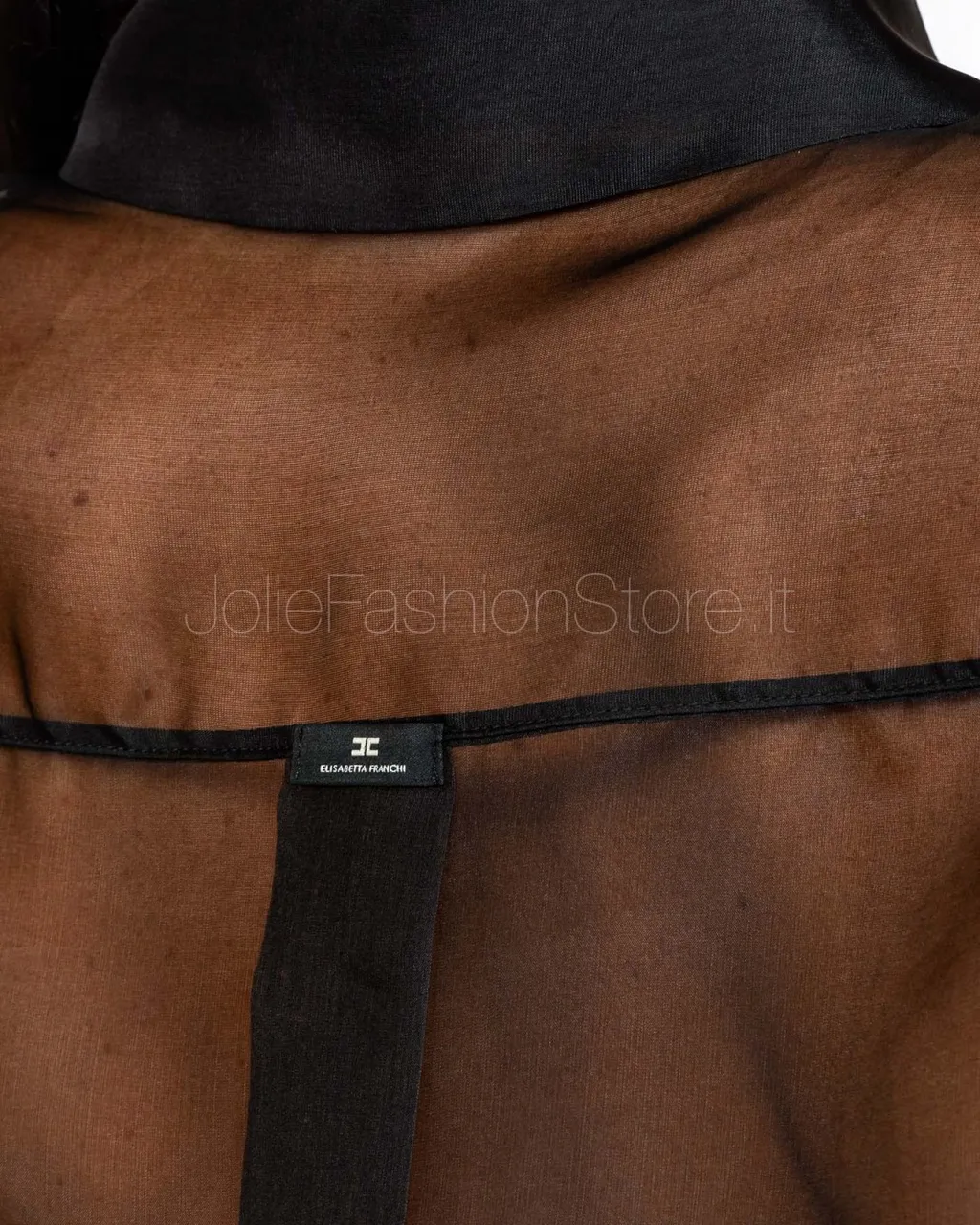 Sheer Blouse