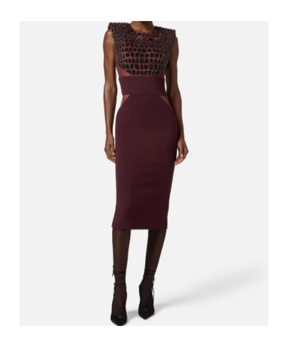 Lightweight CrÊPe Tulle Embroidered Dress