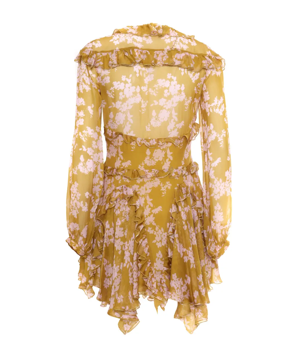 Ruffles Voile Printed Dress
