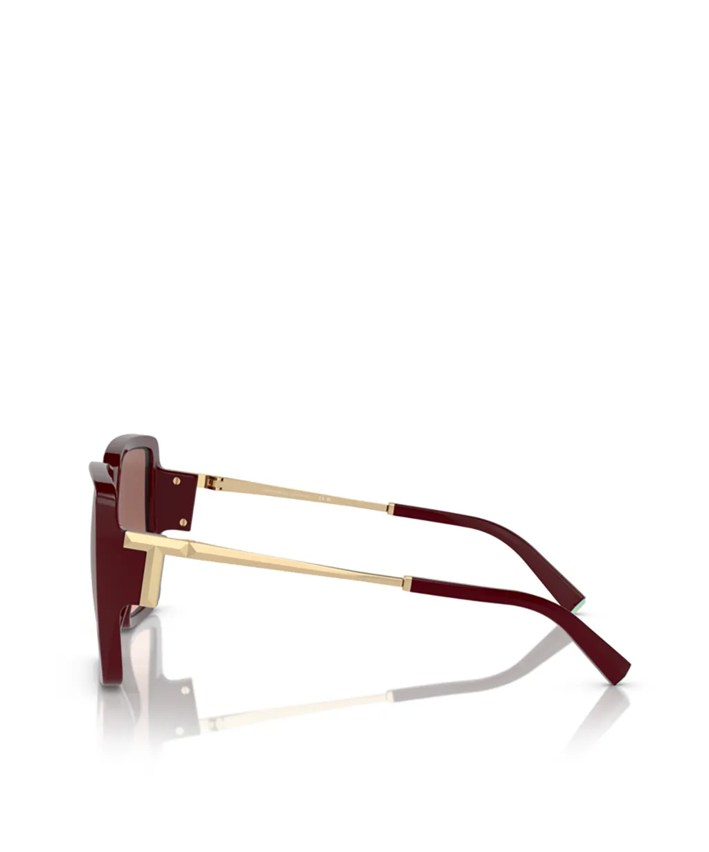 Full Frame Sunglasses