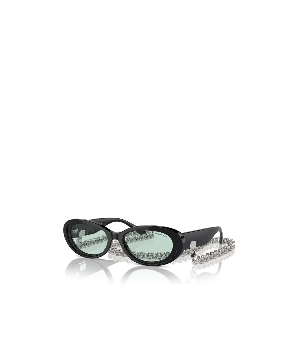 Full Frame Sunglasses