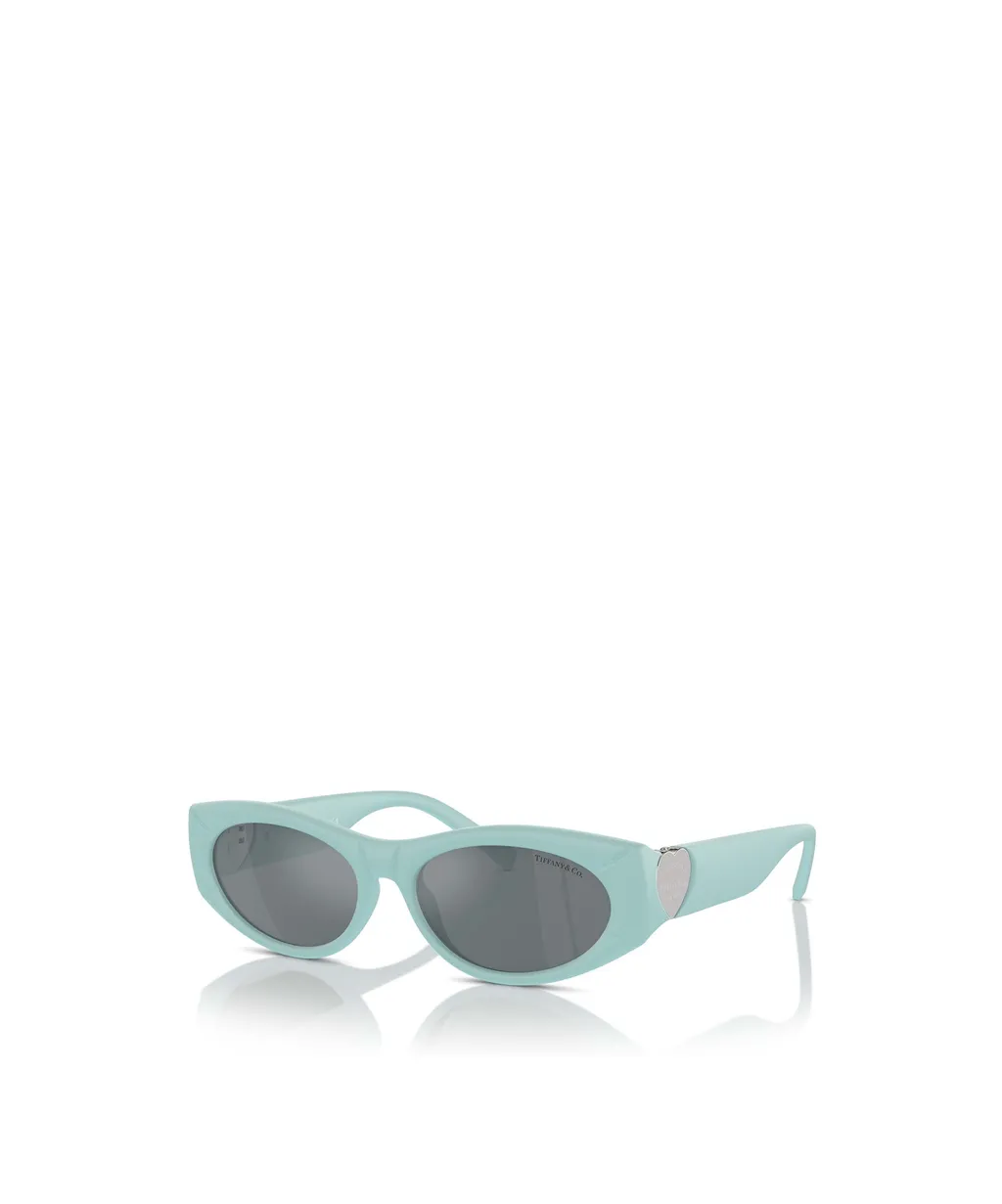Full Frame Sunglasses