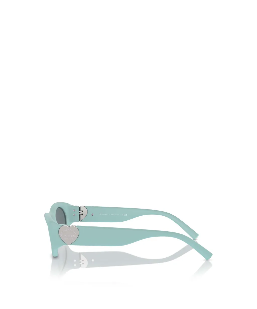 Full Frame Sunglasses
