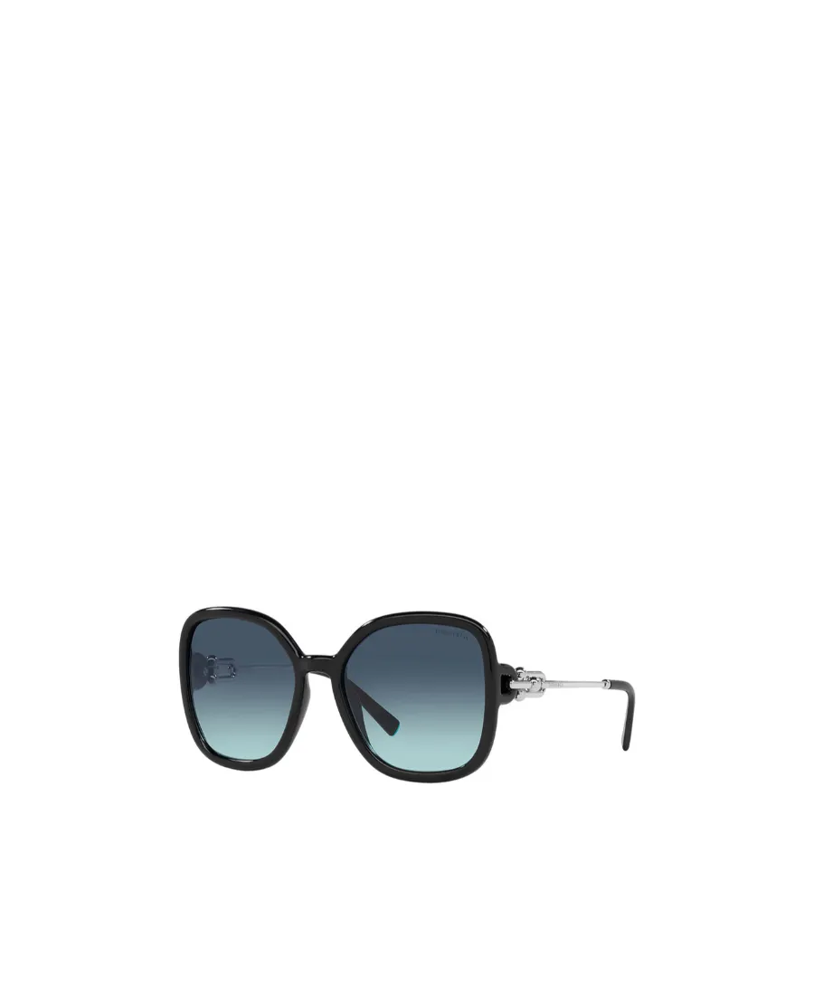 Oversized Frame Sunglasses