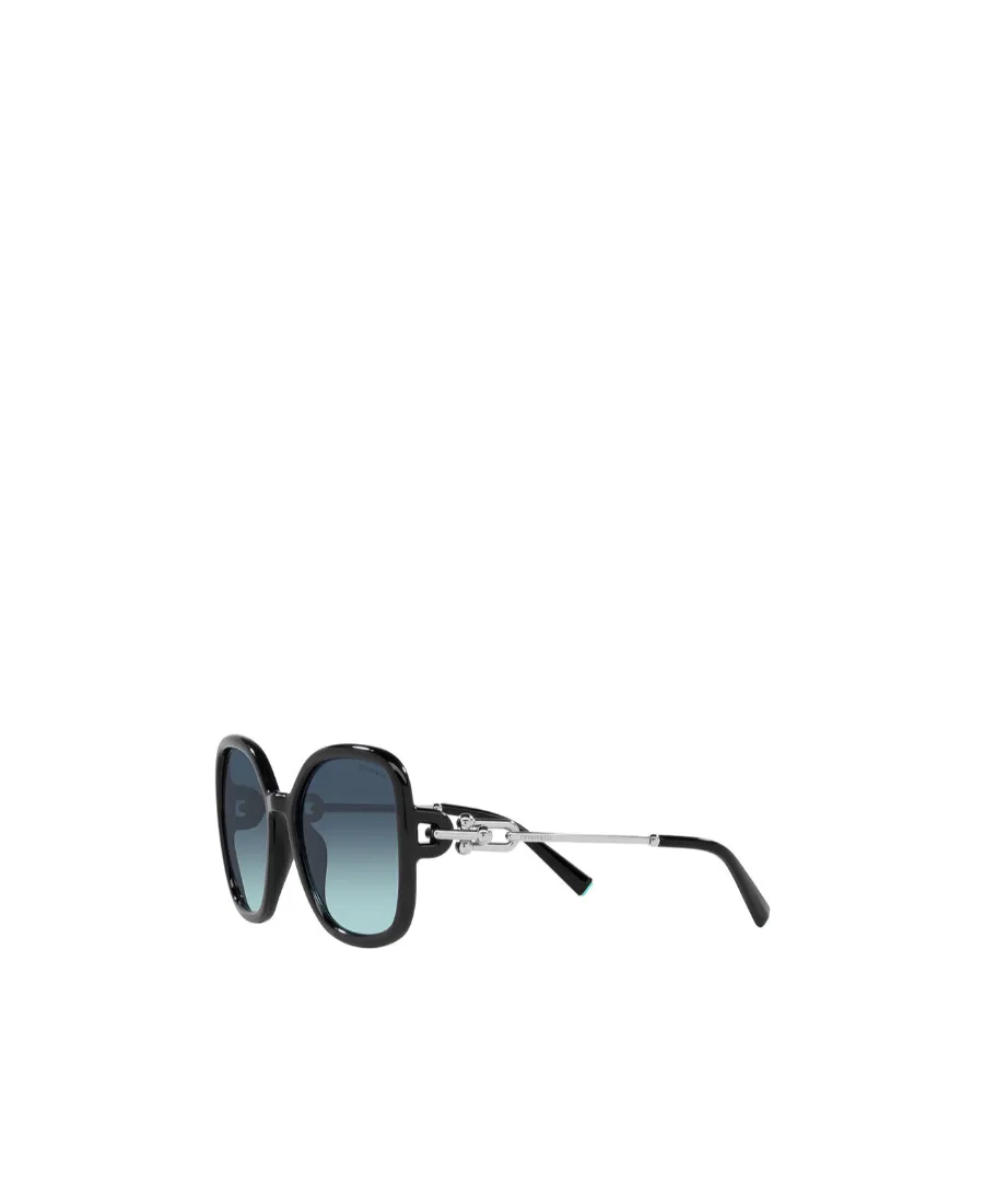 Oversized Frame Sunglasses