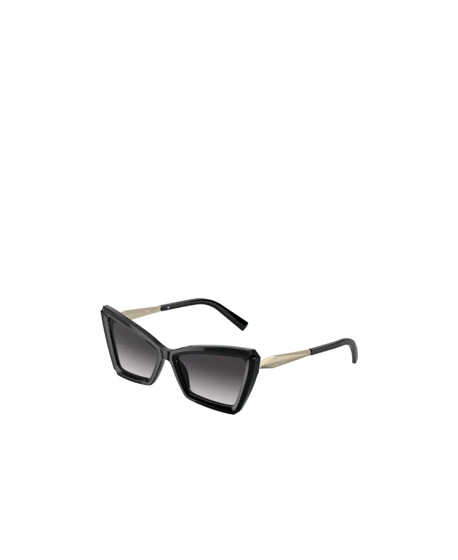 Cat-Eye Frame Sunglasses