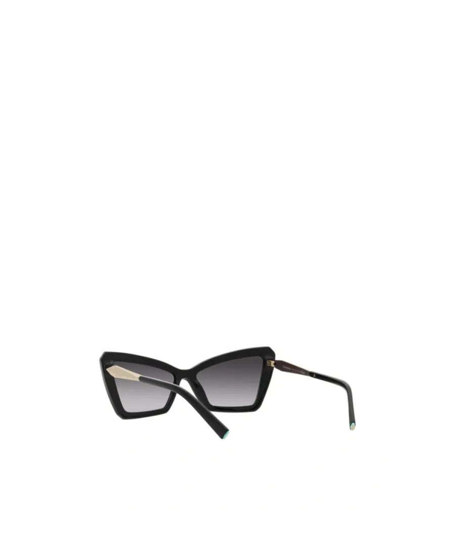 Cat-Eye Frame Sunglasses