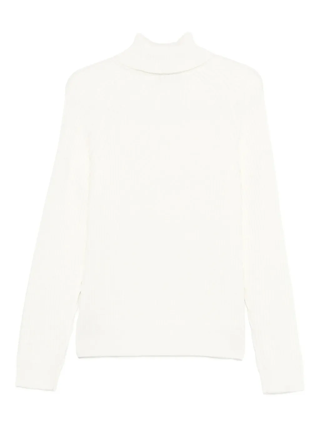 Ribbed Turtleneck Sweater