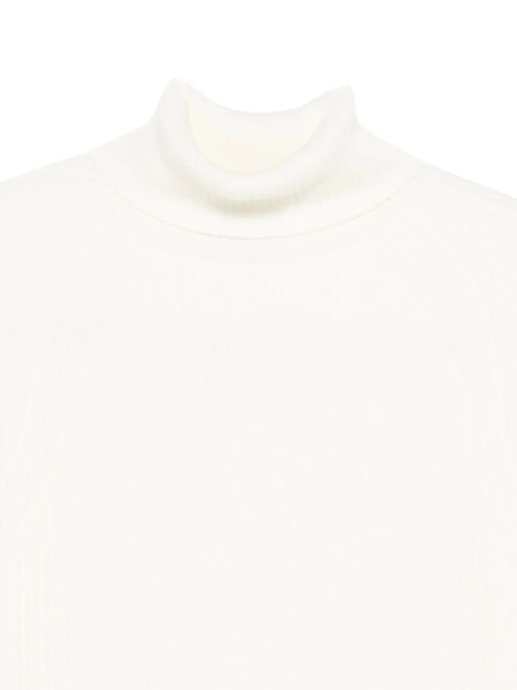 Ribbed Turtleneck Sweater