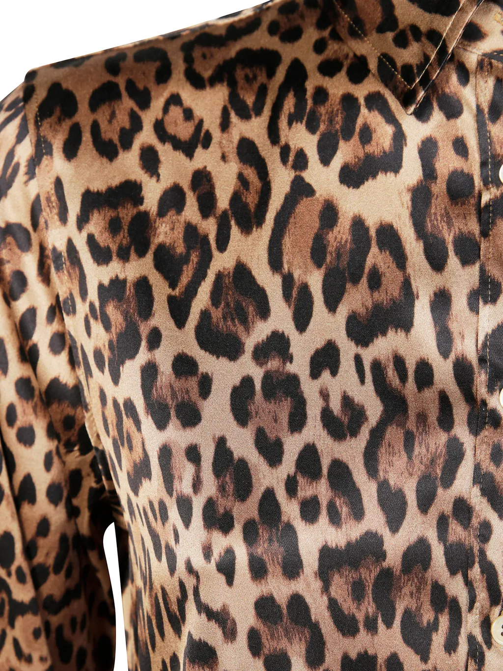 Leopard Print Shirt
