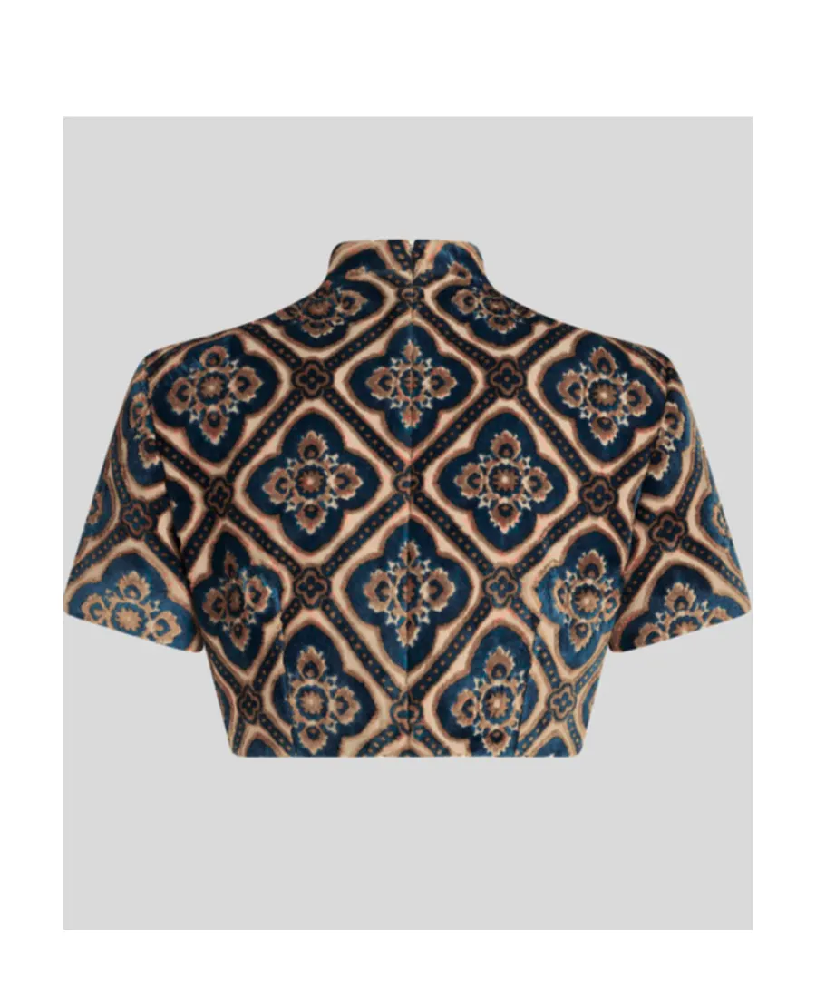 Paisley Print Cropped Top