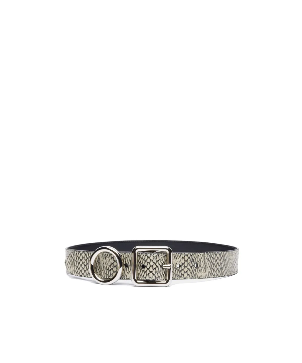 Regalo Belt