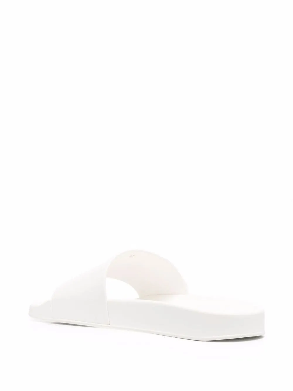 Medusa Logo Printed Slides