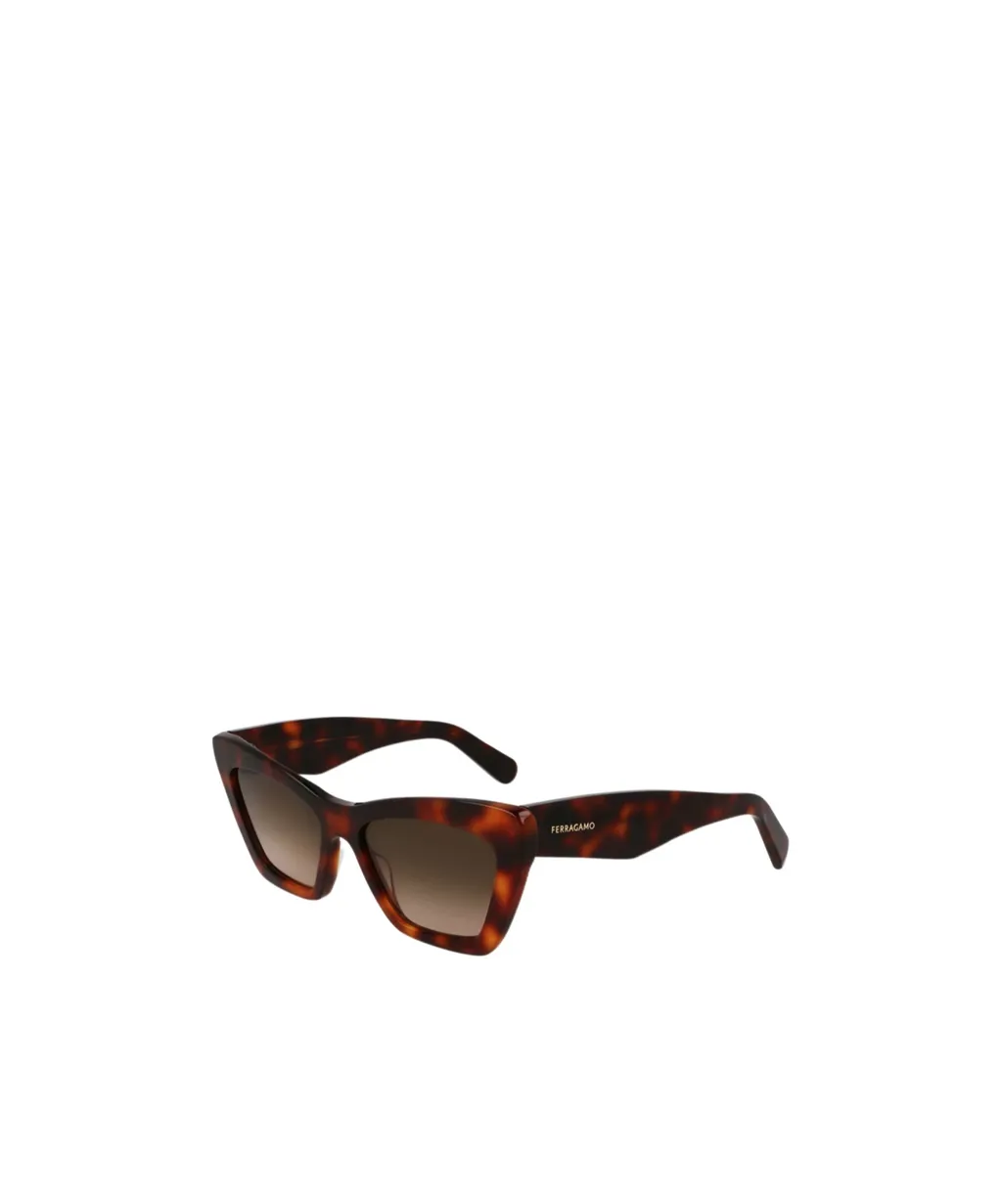 Cat Eye Frame Sunglasses